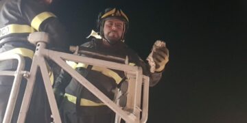 Recuperati due piccoli rapaci dai Vigili del Fuoco