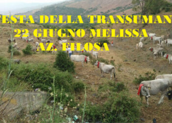 Sabato 22 giugno “Festa della Transumanza” a Melissa