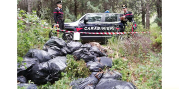 Si disfano di decine di metri cubi di rifiuti, gettandole nelle aree boschive: individuati e denunciati dai Carabinieri