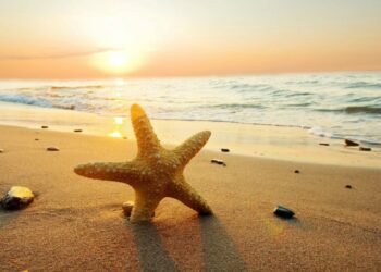 In arrivo l’estate più sicura di sempre: 8 regole d’oro per scegliere la casa vacanza online