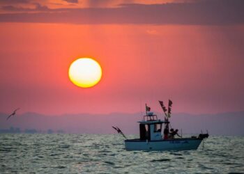 Crotone: il consigliere comunale Sorgiovanni (M5s) sulle Royalties per i Pescatori