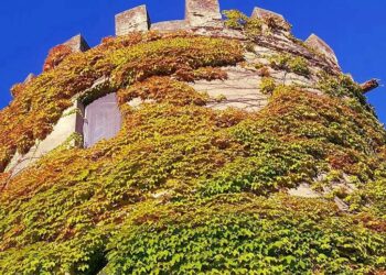 Tutto pronto per TURRIS: crocevia di arti e mestieri a Santa Caterina dello Ionio il 25 giugno