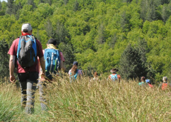Agosto nel Parco Nazionale della Sila