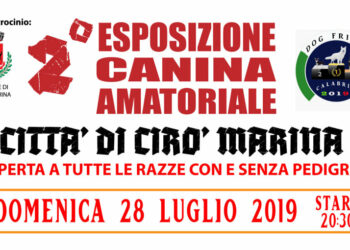 Al via la 2^ Esposizione Canina Amatoriale “Dog Friend 2019” domenica 28 luglio