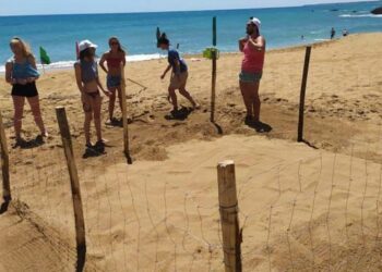 Amp “Capo Rizzuto”: rinvenuto un nido di tartaruga Caretta caretta a Crotone