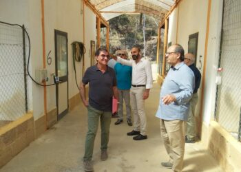 Il canile municipale di Crotone sarà ampliato, potrà ospitare ulteriori sessanta cani