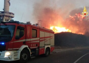 Avvio della campagna antincendio boschivo 2019 dei Vigili del Fuoco e Calabria Verde