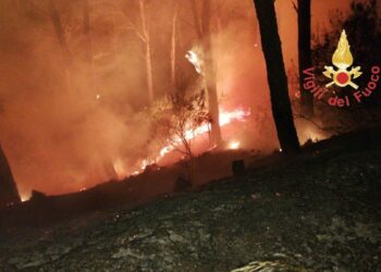 Avvio della campagna antincendio boschivo 2019 dei Vigili del Fuoco e Calabria Verde