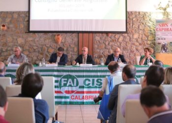 Consiglio generale regionale della Fai Cisl Calabria a Palumbosila