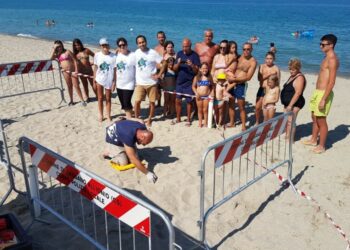 Continuano a nidificare le Tartarughe marine nel Mare Ionio, due nuovi nidi a Sibari e Policoro