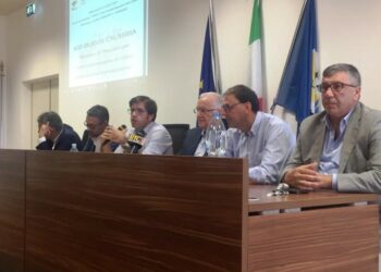 Convegno in Cittadella su opportunità e prospettive per l’Olio di Calabria Igp.