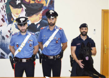 Crotone: Rinvenuti 2 chili di cocaina a casa di un 42enne, arrestato dai Carabinieri