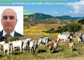 Dichiarazione del Sindaco di Melissa Raffaele Falbo su viabilità e potenzialità del settore agricolo