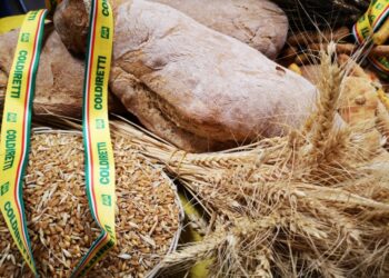 Pane e prodotti da forno: intesa tra Coldiretti e Assopanificatori-Confesercenti a Reggio Calabria