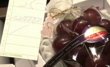 Giappone: grappoli d’uva venduti all’asta per 10 mila euro circa