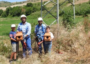 Al via il nuovo progetto “Cassette nido per Ghiandaie marine” lungo il Fiume Lipuda nel territorio di Carfizzi