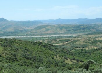 Il Circolo Legambiente Nicà chiede interventi preventivi per la pineta di Terravecchia e Scala Coeli al fine di scongiurare gli ennesimi roghi