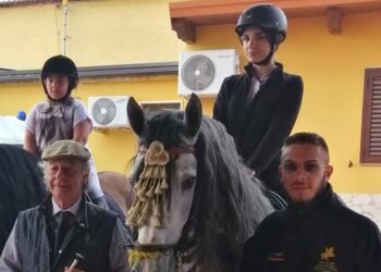 Il P.R.E. (Pura Raza Española) descritto dal Cavaliere De Leo è l’Alta Scuola del maestro Roberto Bruno
