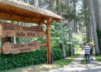 Il progetto “montagna maestra” si sposta nel parco nazionale della sila