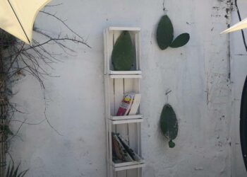 Krossbooking, al Lido Tricoli arriva la sea free library