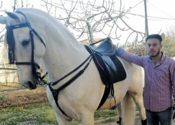 Le parole del cavaliere spagnolo Vincenzo De Leo sul calore del cavallo