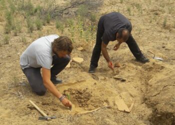 Rinvenute quattro tombe Brettie in zona Frandina a Cirò