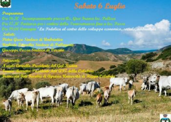 Sabato 6 luglio, “Festa della Tansumanza ad Umbriatico”, Patrimonio Unesco