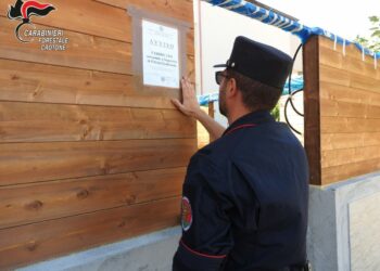 Sequestrato manufatto abusivo a Strongoli Marina, scoperto dai Carabinieri Forestali durante un controllo