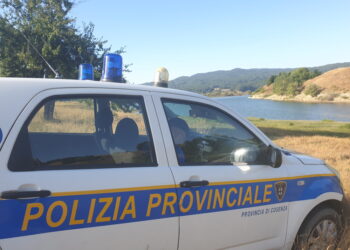 Controlli e sanzioni sulla pesca nelle acque interne della Sila