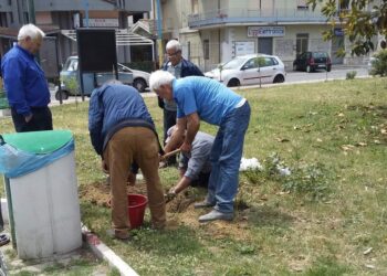 Cirò Marina: I pensionati curano gratuitamente la villetta comunale di via Roma