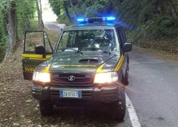 Isola Capo Rizzuto: ancora atti di bracconaggio, controlli delle Guardie Ecozoofile di FareAmbiente Crotone