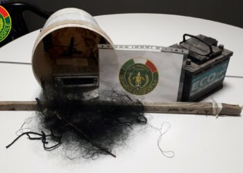 Isola di Capo Rizzuto: scoperta attività di bracconaggio dalle Guardie Ecozoofile di FareAmbiente Crotone