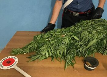 Mesoraca: detenzione ai fini di spaccio di sostanza stupefacente, arrestato un operaio 48enne