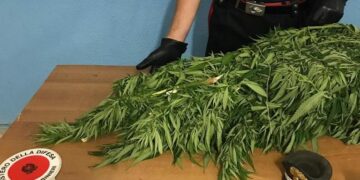 Mesoraca: detenzione ai fini di spaccio di sostanza stupefacente, arrestato un operaio 48enne