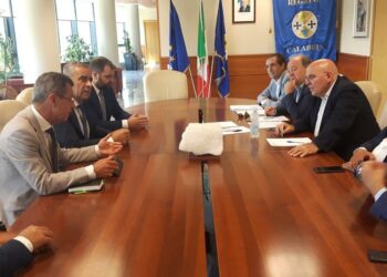 Nuovi ospedali di Sibari e Gioia Tauro: si riparte