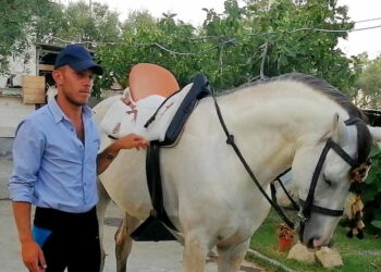 Relazione tra Uomo e Cavallo