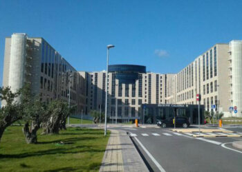 I Tirocinanti Miur chiedono risposte: Siamo caduti nel dimenticatoio