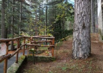 “Agosto Savellese 2019 dal titolo:  Ti racconto Savelli nel Parco” dal 16 agosto