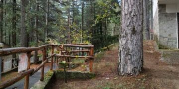 “Agosto Savellese 2019 dal titolo:  Ti racconto Savelli nel Parco” dal 16 agosto