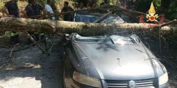 Albero d’alto fusto si spezza abbattendosi su auto in transito: un ferito, intervengono i Vigili del Fuoco