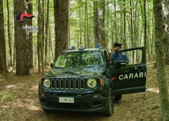 Cinque cercatori di funghi dispersi nell’ultimo fine settimana in Sila