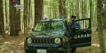 Cinque cercatori di funghi dispersi nell’ultimo fine settimana in Sila