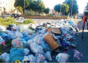 Emergenza rifiuti Calabria jonica, U.Di.Con.: “Intervenga la Regione quanto prima”