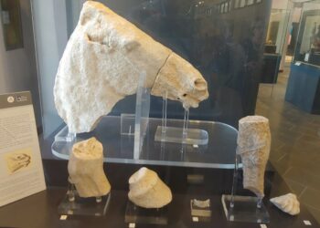 Esposta la “testa di un cavallo di marmo” nel Museo archeologico di Capocolonna a Crotone, un reperto trovato all’interno del tempio di Hera Lacina