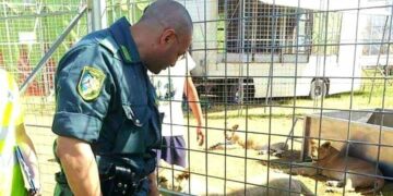 FareAmbiente con Enpa su accertamenti Circo Orfei: rispetto per la legge e per gli animali