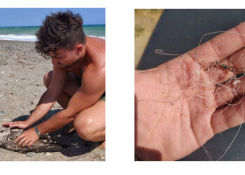 Gabbiano intrappolato in una lenza, salvato da un ragazzo a Cirò Marina