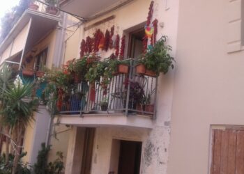 La gita domenicale: la Riviera dei cedri