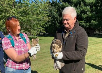 Liberazione nel Parco Nazionale della Sila di uccelli rapaci recuperati e curati presso il Cras di Rende