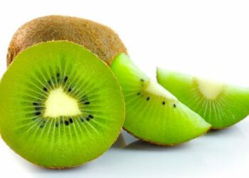 Raccogliere il kiwi in anticipo pregiudica qualità e l’immagine sul mercato