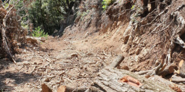 Savelli: realizza strada non autorizzata all’interno di un bosco, denunciato presunto responsabile